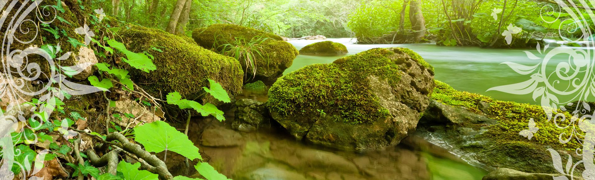 Bachlauf im Bayerischen Wald