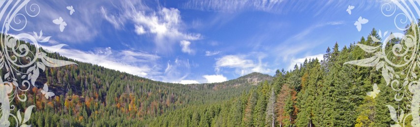 Arbersee im Bayerischen Wald