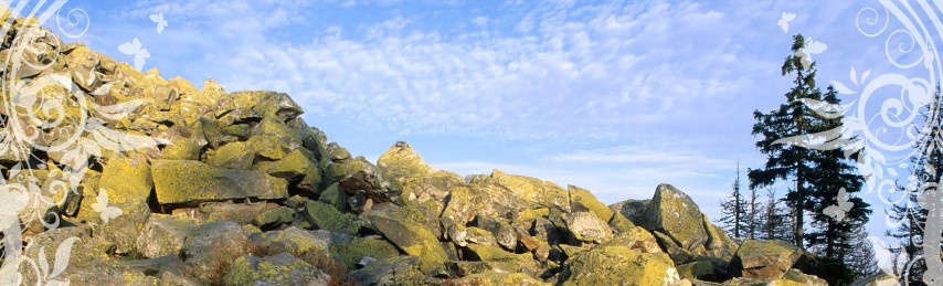 Lusen Berg 1373m